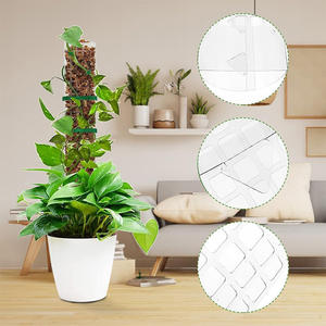 6 piquets de support modernes en PET pour plantes d'intérieur, avec embouts, empilables, en plastique, pour plantes grimpantes CN - Product Image 3