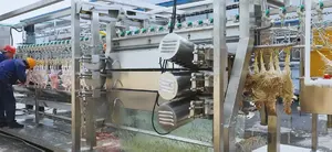 Automatic Chicken Slaughtering Machine Full Automatic Poultry Slaughtering Production Line /Chicken Slaughter Machine