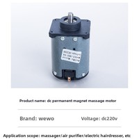 Moteur de massage certifié ROHS à aimant permanent 46S DC personnalisable pour appareil ménager bateau pistolet à Fascia bas bâton de massage dauphin