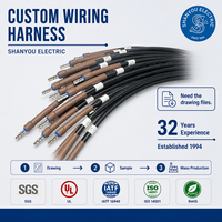 Harnais de câblage OEM personnalisé, fabrication de faisceaux de câbles et de harnais, faisceau AC, connecteurs électriques