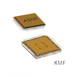 Compre componentes electrónicos en línea 64 CFlatPack, chip de ASNT6119A-KMF en stock - Product Image 1