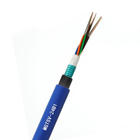 Kabel Serat Optik Komunikasi Berlapis Baja MGTSV untuk Tambang Batubara, Disetujui untuk FTTH, 12 Core, 24 Core, 48 Core