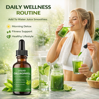 Vente en gros OEM Marque Privée 59ml Gouttes Liquides de Chlorophylle de Menthe Splina Végétaliennes Naturelles pour la Détoxification, le Nettoyage et le Soutien Énergétique