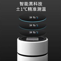 Termo Inteligente de Acero Inoxidable de 500 ml con Pantalla de Temperatura LED, Termo Digital con Batería, Aislamiento Térmico de 6 Horas