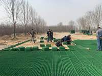 Grilles de stabilisation en plastique HDPE alvéolé robustes pour pelouses et graviers, modèles pour parkings et plantation d'herbe