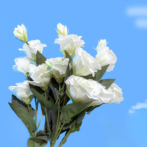 Fleurs artificielles de lisianthus Haoche 30cm-100cm en soie blanche pour décoration de mariage et ornement de maison - Product Image 2