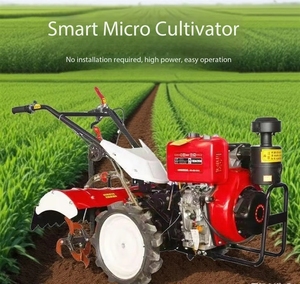 Equipo Agrícola: Mini Rotocultivadores de Jardín, Motocultores, Cultivadores de 4 Ruedas, Tractores de Mano - Product Image 3