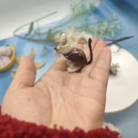 Vente d'appâts souris de bord de mer petite coquille artisanat Souvenir souris coquillage