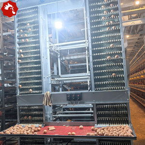 Sistema <span class=keywords><strong>de</strong></span> Jaulas en A para Gallinas Ponedoras con Capacidad para 10000 Aves, para una Gestión Automatizada - Product Image 4