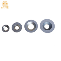 Pisau Kayu TCT Bulat untuk Pabrik, Sisipan Tungsten Carbide untuk Kepala Pemotong Spiral, Peralatan Pertukangan Kayu yang Dapat Disesuaikan