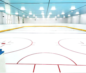 Factory Supply PE Sheet Synthetic <strong>Ice</strong> Floorbal <strong>Ice</strong> <strong>Rink</strong> Board <strong>Ice</strong> <strong>Rink</strong> Board Uhmwpe Roller <strong>Skating</strong> <strong>Rinks</strong> - Product Image 1