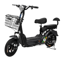 Trottinettes électriques EBIKE avec moteur sans balais, batterie au lithium 20Ah, autonomie de 60 km, roues de 14 pouces, services OEM/ODM disponibles