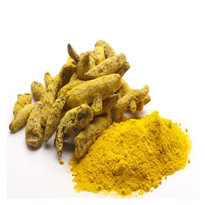 Qingchun Wholesale Prices Fresh Turmeric Natural AD Fresh Dried Turmeric Finger Ginger