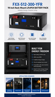Batería de Litio para Almacenamiento de Energía Solar Comercial, Montaje en Rack de 19 Pulgadas, 51.2V 300Ah 15.36kWh LiFePO4, Protección IP21