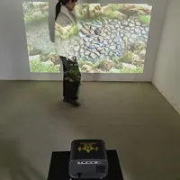 Équipement de projecteur de jeu mural interactif de qualité supérieure pour enfants