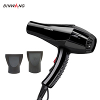 Sèche-cheveux professionnel 2200W avec moteur électrique AC, diffuseur, 2 vitesses chaud/froid, faible rayonnement, protection contre la surchauffe, en plastique, pour extérieur et hôtel