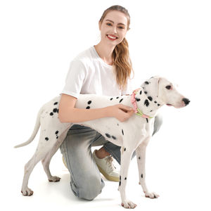 PVC kustom kerah Anjing mode tahan air produsen baru 2024 kerah timbal Set hewan peliharaan nilon Neoprene anyaman tidak licin kerah - Product Image 5