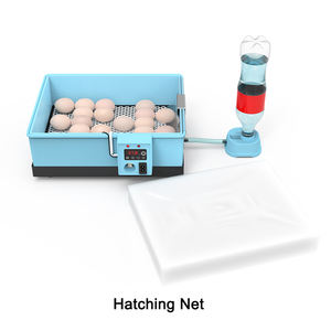 Incubateur et éclosoir à œufs de volaille AC/DC à <span class=keywords><strong>prix</strong></span> avantageux, capacité de 36 œufs - Product Image 5