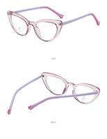 Nouveaux cadres de lunettes d'oeil de chat à la mode pour unisexe TR90 lunettes bleu bloquant lunettes printemps charnière lunettes Spectacle 2338