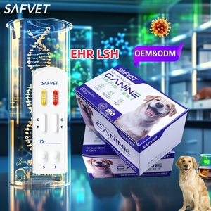 Pet canine & Feline <span class=keywords><strong>H</strong></span>. pylori kháng nguyên nhanh chóng <span class=keywords><strong>Kit</strong></span> kiểm tra con chó - Product Image 5