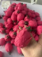 Drakenvrucht knapperig squishy knapperig squishy speelgoed Squishy Kerstmis handgemaakt stressverlichtend squishy balletje