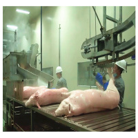 Équipement automatique d'abattage agricole, ligne d'abattage de porcs, machines de transformation de la viande de porc pour abattoir de porcs