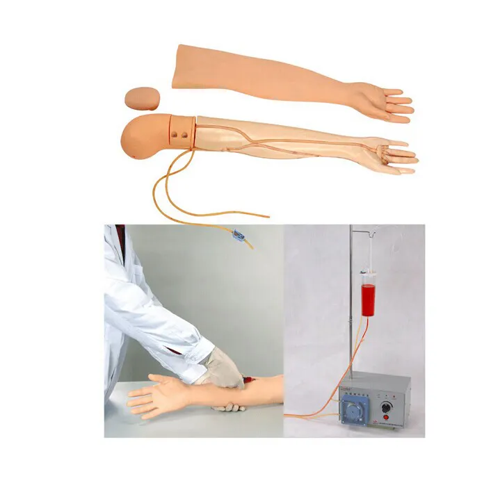 BIX-HS3 y tế khoa học cánh tay venipuncture tiêm mô phỏng