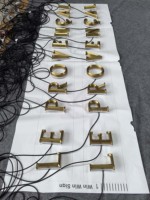 Lettres rétroéclairées en laiton électroplaqué et acier inoxydable, logo personnalisé 3D prismatique pour la façade d'hôtels et de clubs de luxe