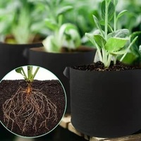 Tuingereedschap Kweek Root Control Containertas Met Stoffen Handvatten Voor Het Zaaien Van Bomen En De Groei Van Fruitplanten