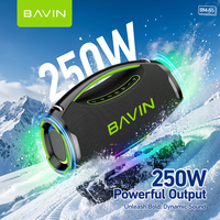 Haut-parleur karaoké portable sans fil BAVIN avec logo personnalisé OEM ODM BM55 250W 12000mAh Batterie BT5.3