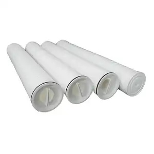 High Performance High Flow Ptfe Membrane Filter Cartridges 20 Inch 5 Micron Filter AB1FR8EH1