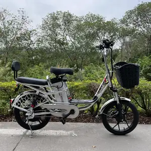 DISIYUAN factory outlet 350W 48V 60V lithium electric bicycle 18*2.125 inch wheel aluminum electric cargo bike