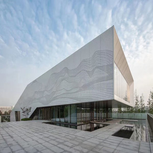 Decorative Modern Aluminum Alloy Perforated Fireproof Wall <strong>Cladding</strong> Panel for Hotel Use <strong>Architectural</strong> Insulated - Product Image 3