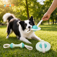 Jouets à mâcher pour animaux de compagnie en TPR durables, de conception nouvelle, fabriqués par Famipet, vente en gros personnalisée, jouets interactifs pour chiens