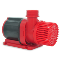 Moteur de micro-pompe à eau haute vitesse 12V CC, mini-pompe à eau 12V CC conforme RoHS, pompe à eau 2 pouces 12V CC