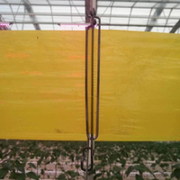 Snijdbare dubbelzijdige gele kleefrol met ultrasterke hechting, ideaal voor planten, bloemen, groenten en fruit