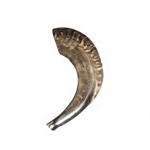 Shofar de Cuerno de Carnero Pulido Ecológico OEM, Forma Natural, para Oración Religiosa, Israelí, Kosher, Judío, Yemení, para Soplar, FAIZA CRAFT - Product Image 1
