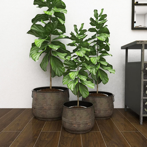 Venta caliente Juego de 3 Macetas de flores de hierro de metal recién llegadas antiguas para Bar en casa y restaurantes - Product Image 2