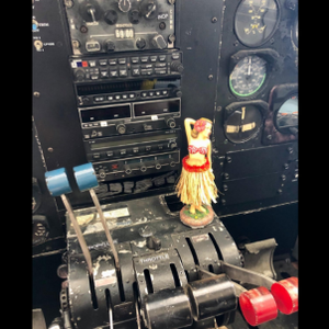 دمى مخصصة بوبلهيد لوحة القيادة بوبل رئيس الدمى - Product Image 3