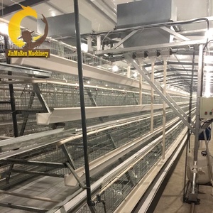 Jinmuren Chất Lượng Cao 10000 Lớp Gà Trang Trại Chim Lớp Lồng Để Bán - Product Image 3