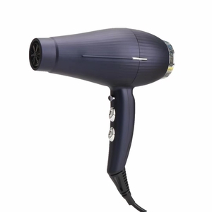 2024新しいファッション品質電気イオンヘアドライヤーホットセール低価格環境に優しいホテルや旅行用 - Product Image 2