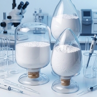 Dióxido de Silicio Hidrófilo de Grado Nano 99.99% Tamaño de Partícula 30-50nm Aditivos a Base de Agua para Materiales Electrónicos de Alta Gama
