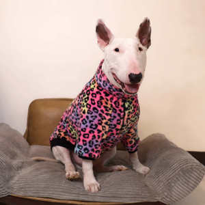 <span class=keywords><strong>Abrigo</strong></span> <span class=keywords><strong>para</strong></span> Perro con Estampado de Leopardo y Tinte Anudado, Ropa de Invierno <span class=keywords><strong>para</strong></span> Mascotas, <span class=keywords><strong>para</strong></span> Bulldog <span class=keywords><strong>Labrador</strong></span> - Product Image 5