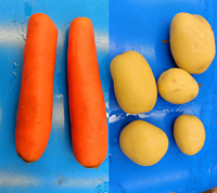 Industriële stoomschilmachine, automatische mango-, wortel- en aardappelschiller, groente- en fruitschilmachine