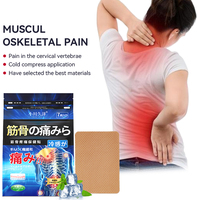 Pansement Corporel Poré de Médecine Traditionnelle Chinoise, Adhésif Médical Perforé Certifié IOS de Haute Qualité pour le Rhumatisme