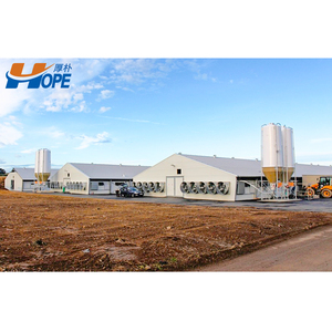 Gà tây gia cầm nhà/gà trang trại đổ - Product Image 4