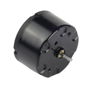 Bl3220i 004 32 mét không chổi than DC Motor cho Máy bơm nước 24V 3000 vòng/phút - Product Image 4
