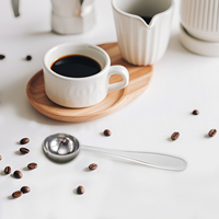 Cuillère à café matcha en acier inoxydable 2.5ml 5ml Cuillère à café mesure en métal Petite cuillère à soupe en métal individuelle Scooper seulement