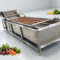 Industriële groothandels luchtbellen fruit- en groentewasmachine voor lotuswortel en zeevruchten