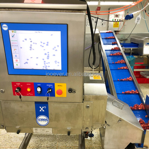 Vente en gros de fraises congelées personnalisées de qualité supérieure IQF Fraises OEM pour le traitement - Product Image 6